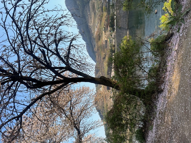 아로미 팜핑장 수확 체험 농산물